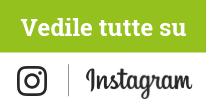 Vedi tutte le foto su Instagram